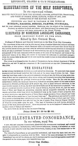 amer_man-19.jpg