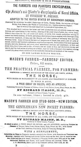 amer_man-28.jpg