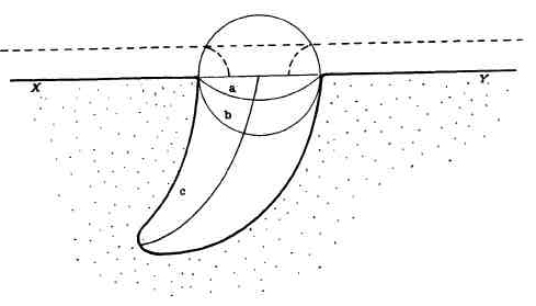 stimson-1.jpg