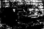 san9402243.jpg