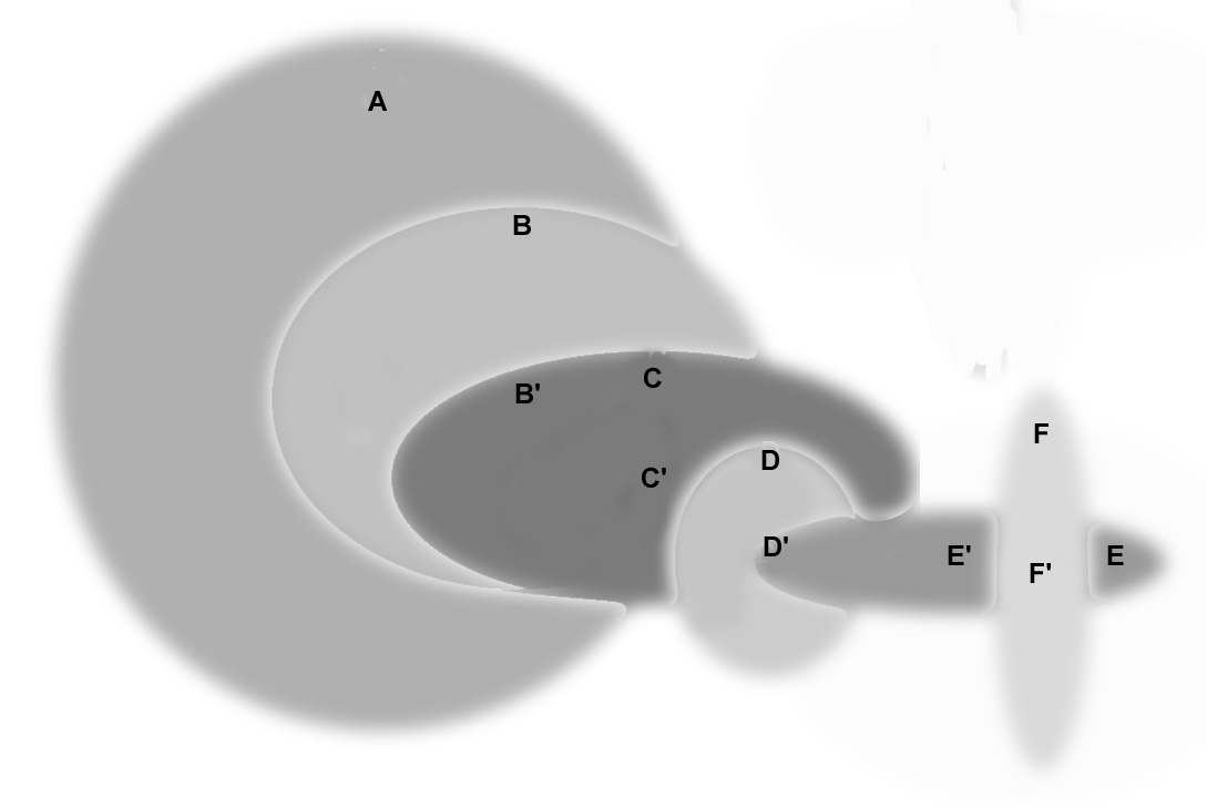 Venn diagram of stare 
decisis drift